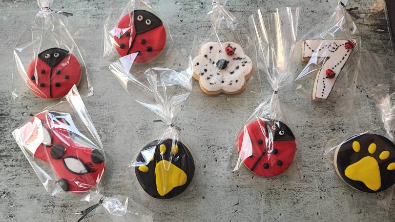 Galletas de Mantequilla personalizada de Lady bug